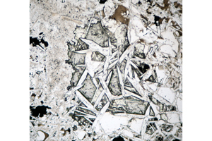 普通輝石の薄片（単ニコル）