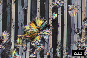 セリサイトの薄片（直交ニコル）