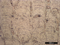 マンガンクラスト(研磨面)