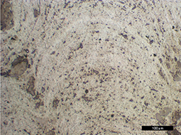 マンガンクラスト(研磨面)