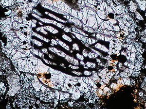 No3偏光顕微鏡開放ニコル