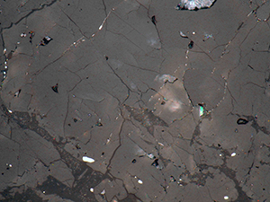 No12 反射顕微鏡